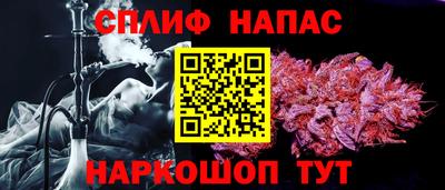 сатива Тула