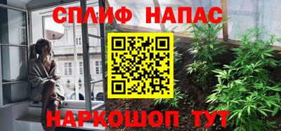 сатива Тула